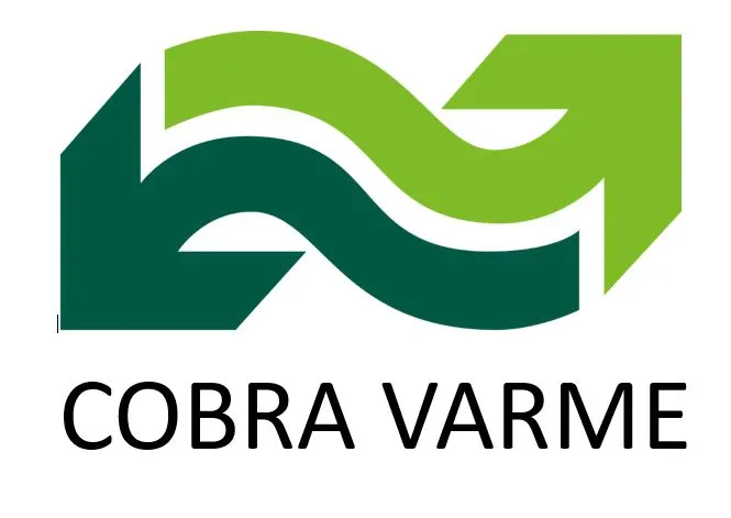 Cobra Fjernvarme branded visual from the client website used for the case