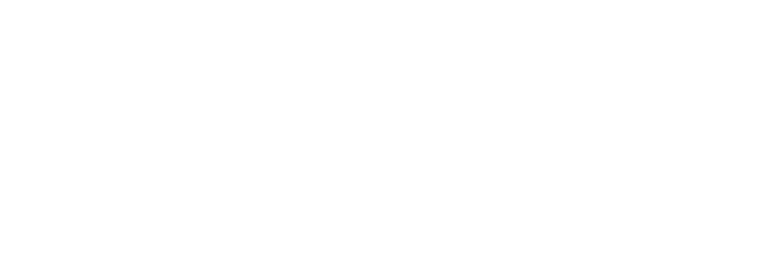 Wordpress logo